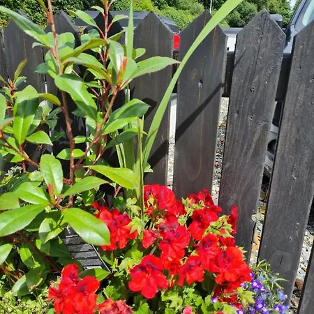 Kiltoy Cottage, 레터케니