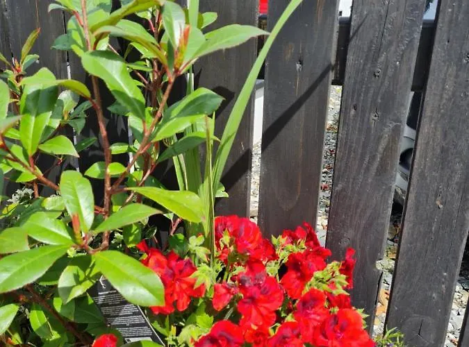 Kiltoy Cottage, Letterkenny